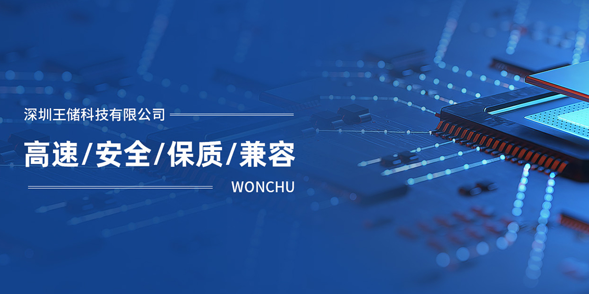 深圳市王储科技有限公司