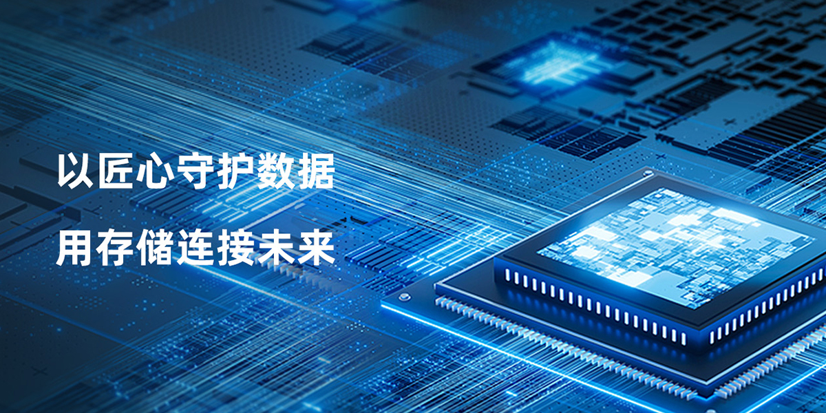 深圳市王储科技有限公司